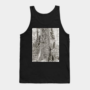 Lumberjacks with Giant Fir, 1905. Vintage Photo Tank Top